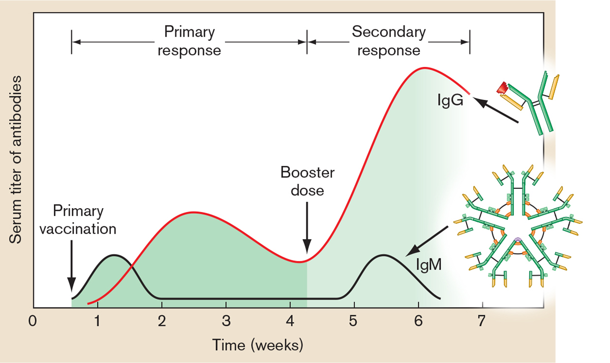 Microbiology 4E